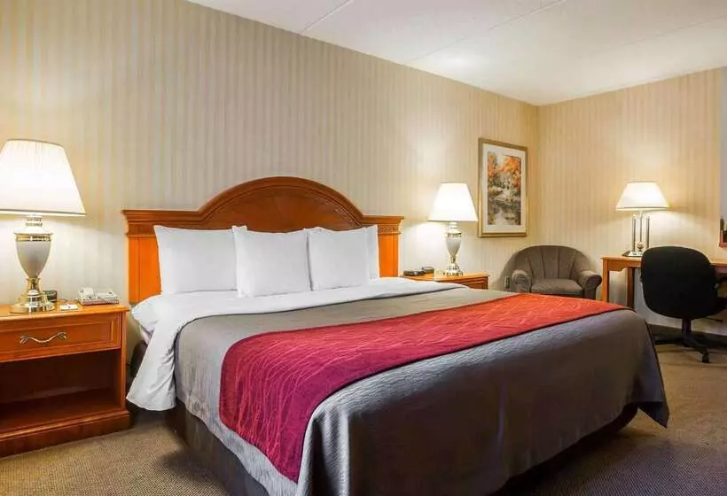 ホテル Comfort Inn & Suites