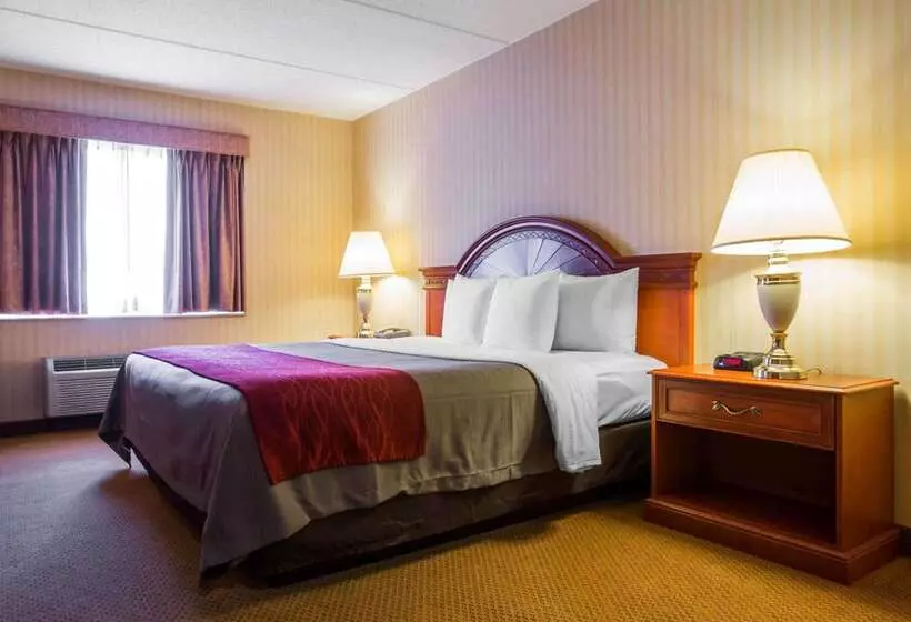 ホテル Comfort Inn & Suites