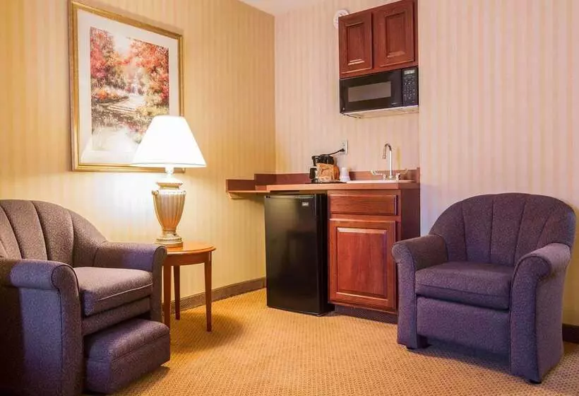 ホテル Comfort Inn & Suites