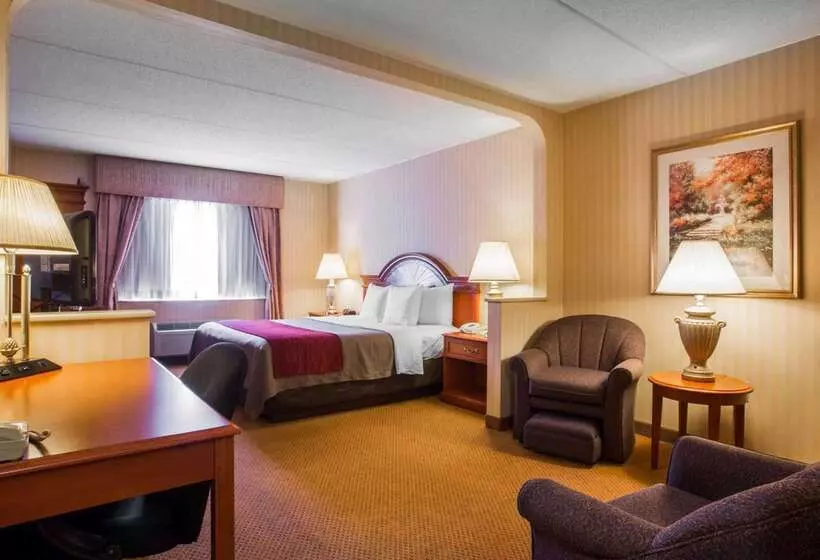 ホテル Comfort Inn & Suites
