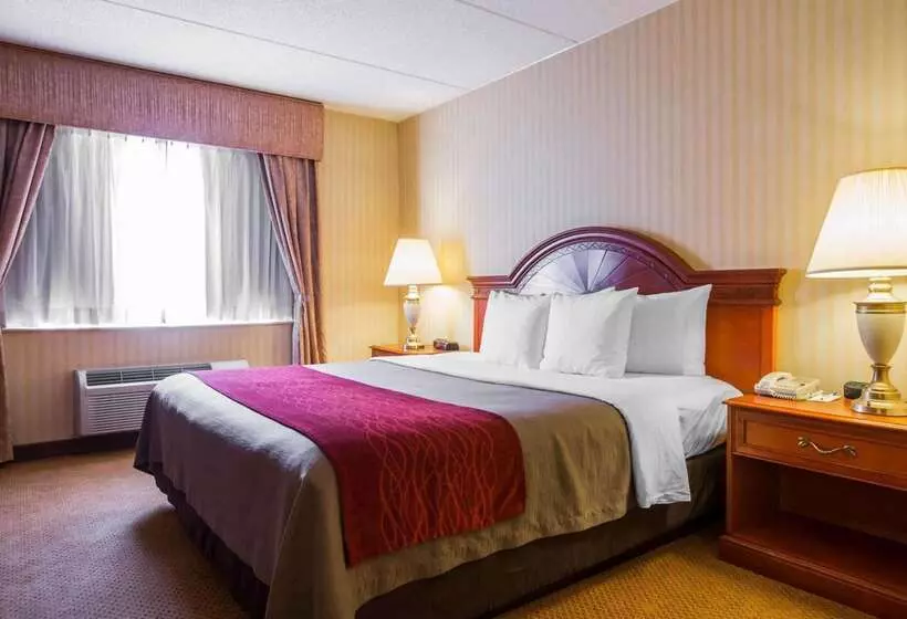 ホテル Comfort Inn & Suites