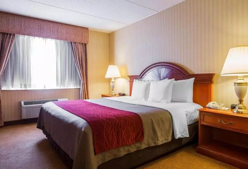 ホテル Comfort Inn & Suites