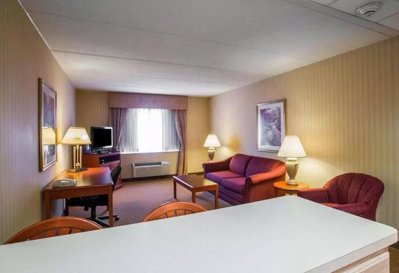 ホテル Comfort Inn & Suites