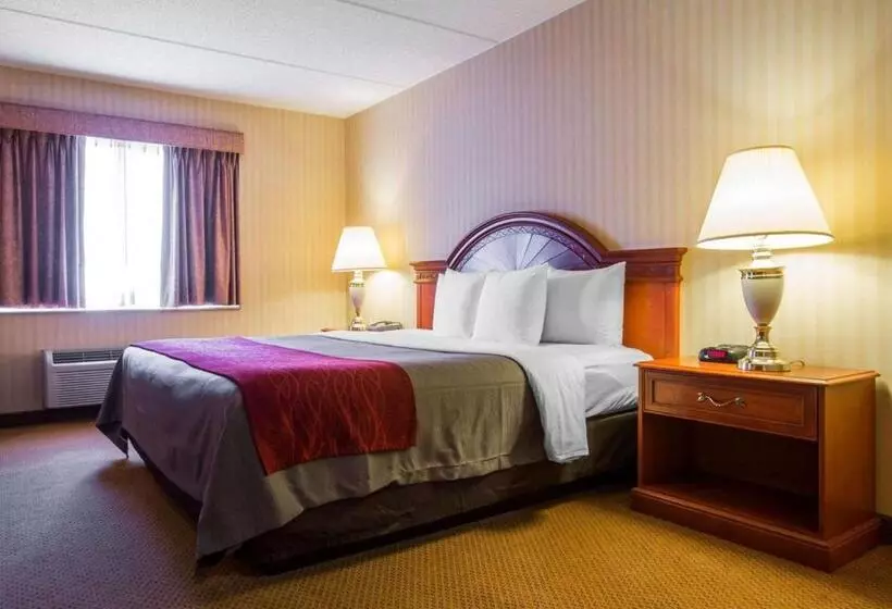 ホテル Comfort Inn & Suites