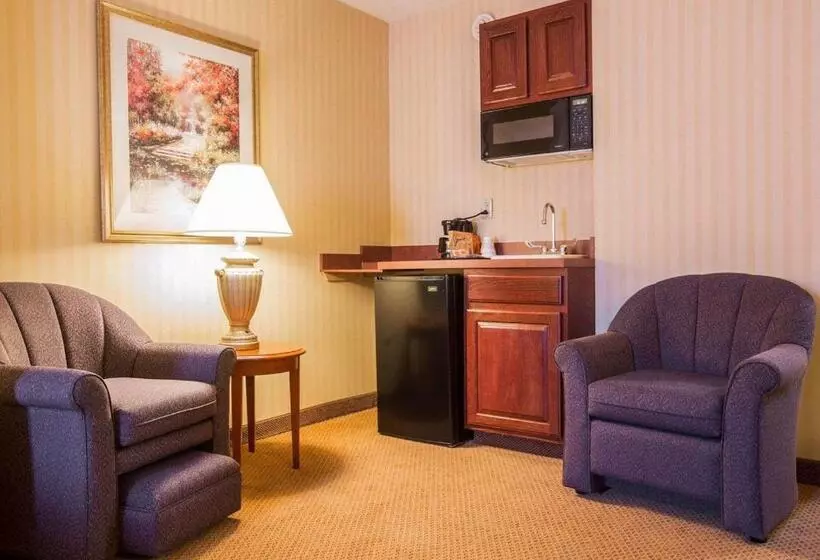 ホテル Comfort Inn & Suites