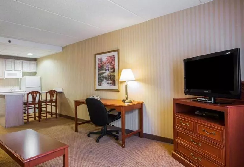 ホテル Comfort Inn & Suites