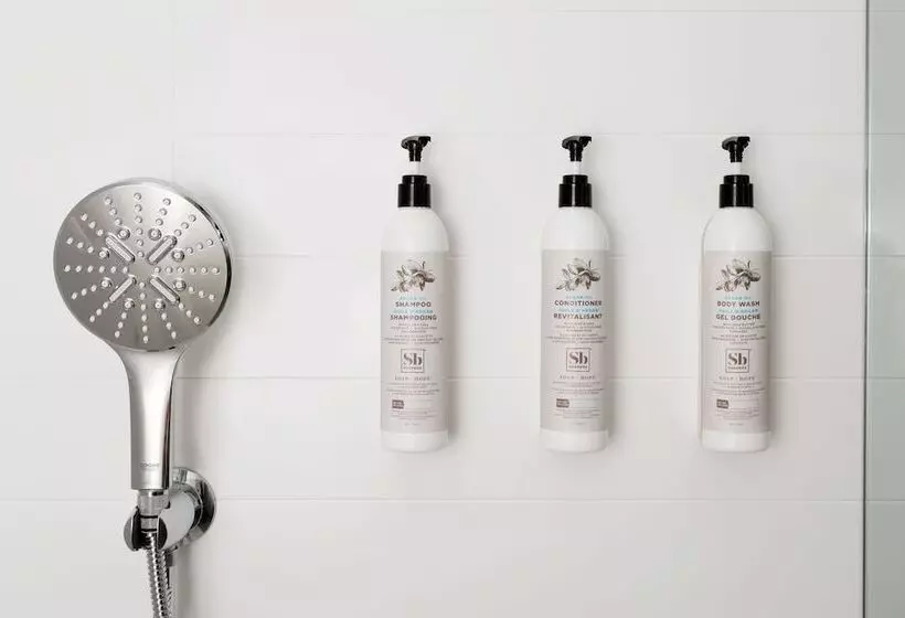 Delta Hotels By Marriott Detroit Novi