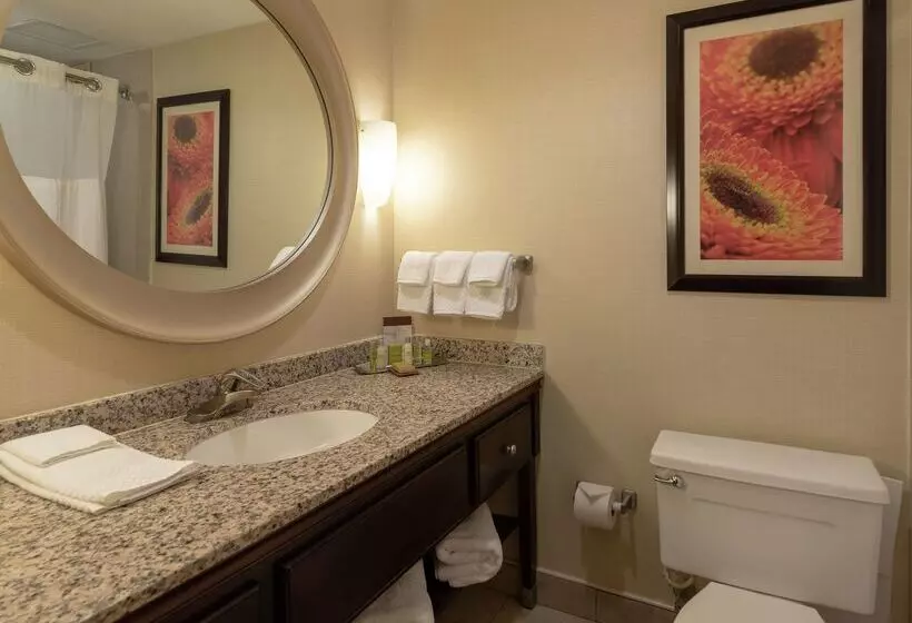 Doubletree By Hilton Hotel Norfolk Airport