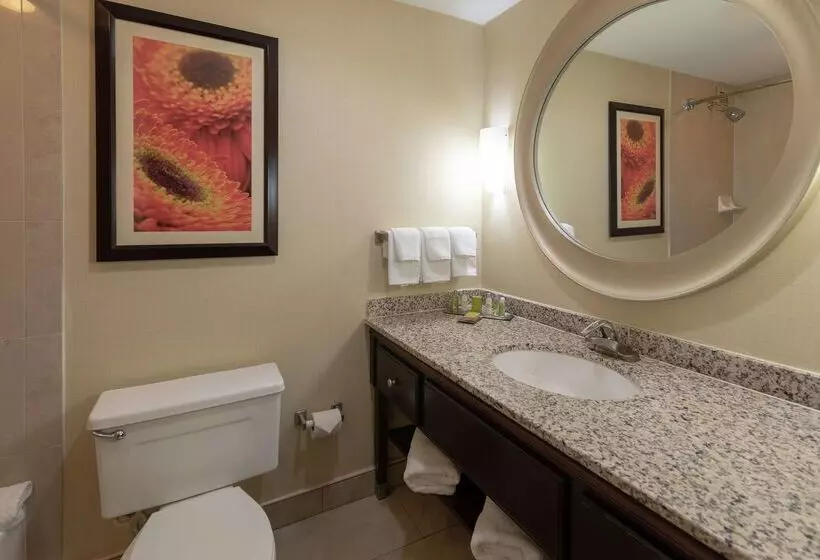 Doubletree By Hilton Hotel Norfolk Airport