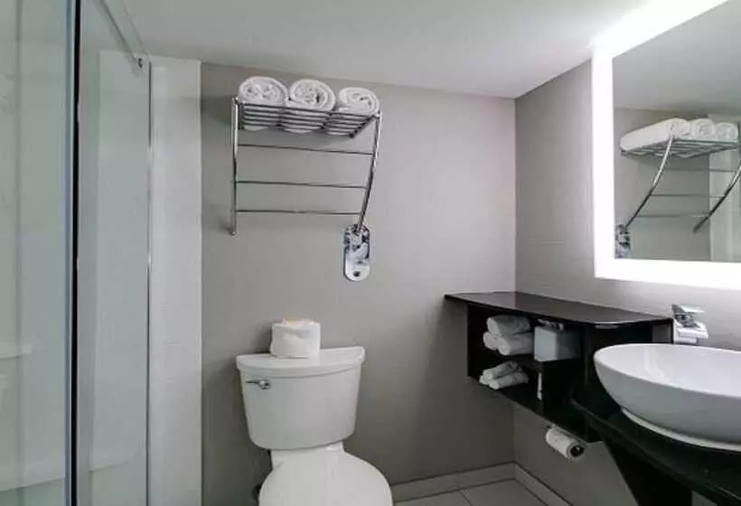 Szálloda Holiday Inn At The Campus, An Ihg