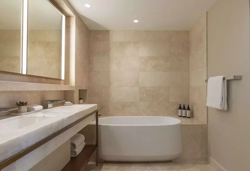 هتل Park Hyatt Chicago