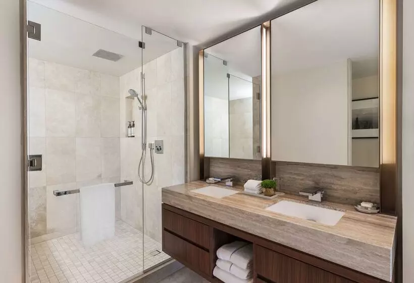 هتل Park Hyatt Chicago