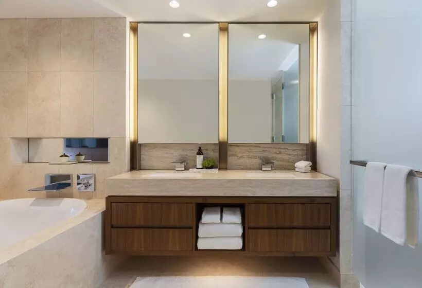 هتل Park Hyatt Chicago