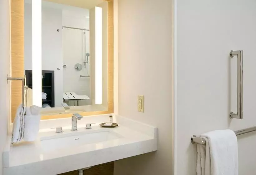 فندق Sheraton Detroit Metro Airport