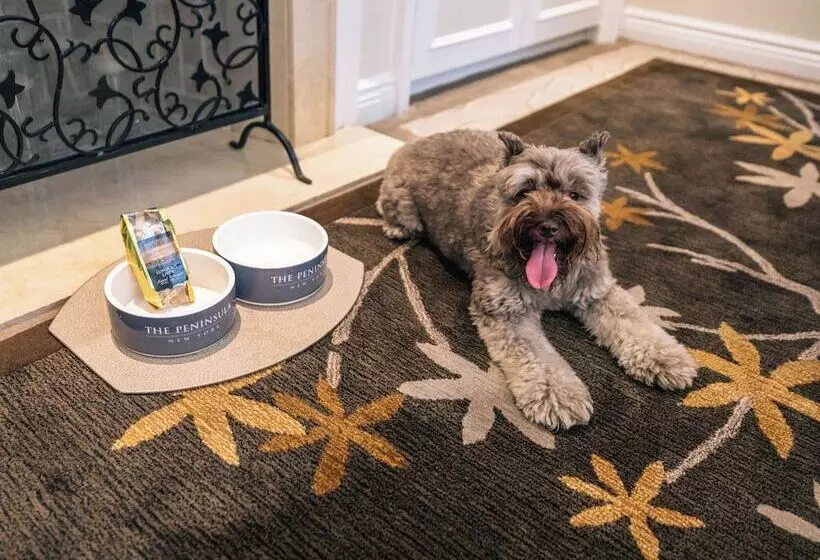 酒店 The Peninsula New York