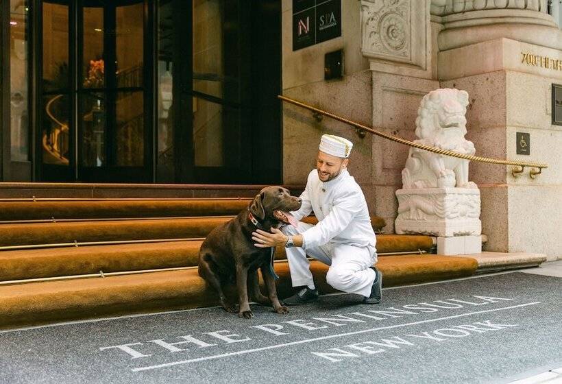 호텔 The Peninsula New York