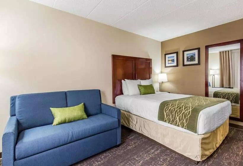 هتل Comfort Inn College Park North