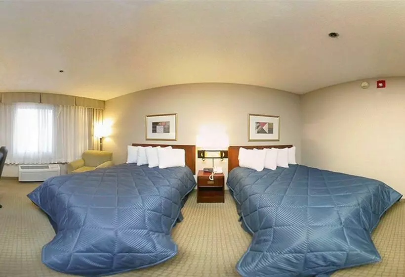 فندق Comfort Inn Phoenix North