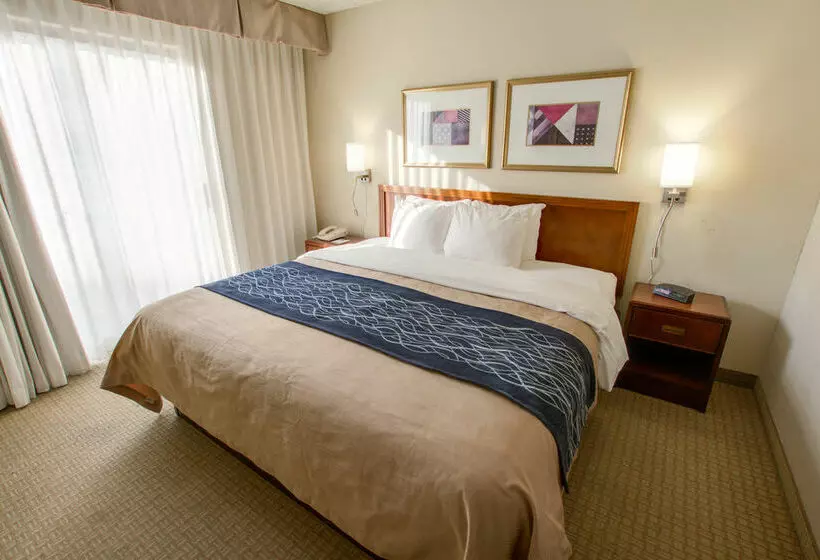 فندق Comfort Inn Phoenix North