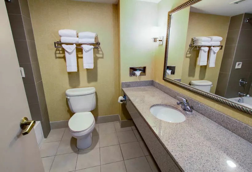 فندق Comfort Inn Phoenix North