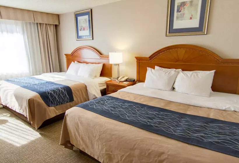 فندق Comfort Inn Phoenix North
