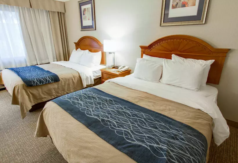 فندق Comfort Inn Phoenix North