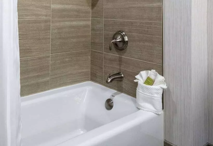 Otel Doubletree By Hilton Burlington Vermont