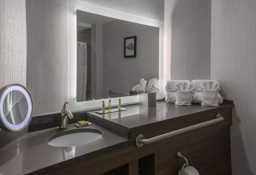 Otel Doubletree By Hilton Burlington Vermont