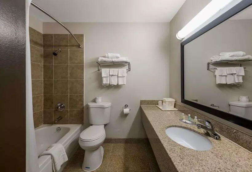 هتل Quality Inn Airport