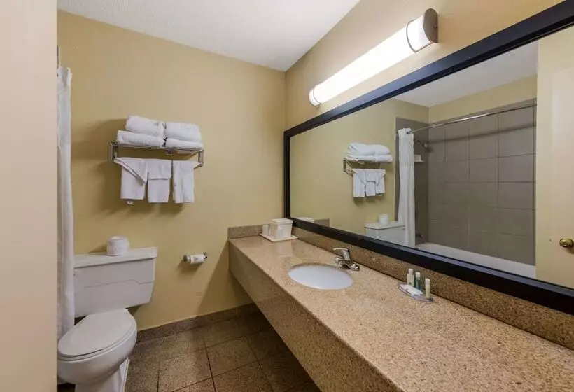 هتل Quality Inn Airport