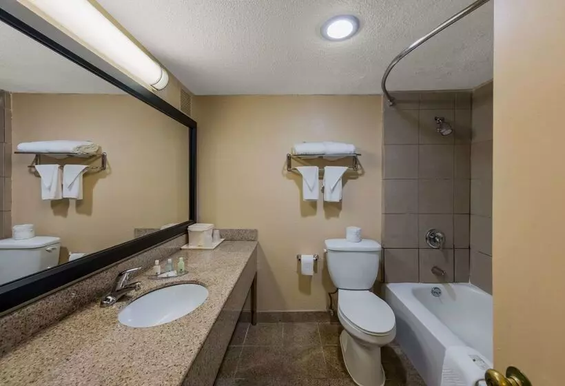 هتل Quality Inn Airport