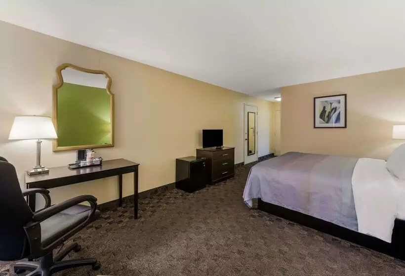 هتل Quality Inn Airport