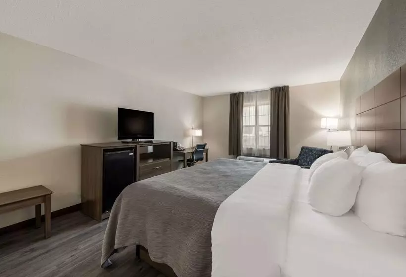 هتل Quality Inn Airport