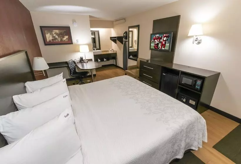 酒店 Red Roof Inn Plus+ Chicago   Willowbrook