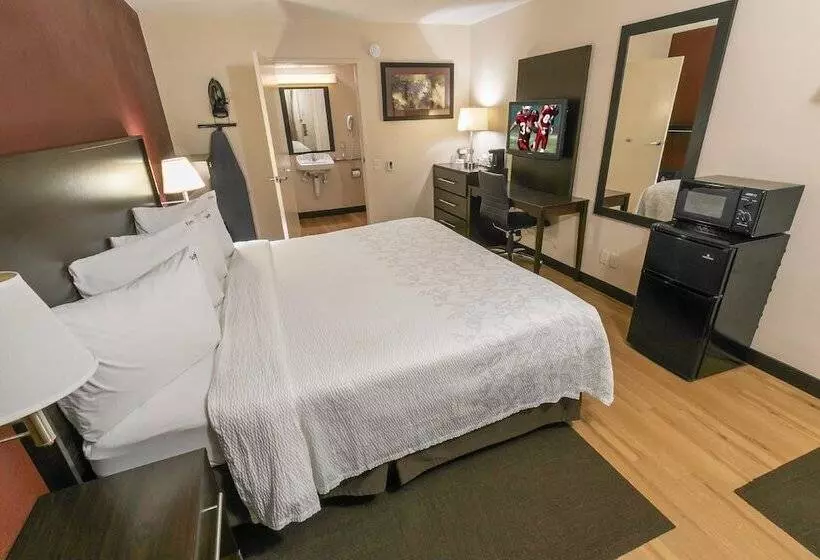 酒店 Red Roof Inn Plus+ Chicago   Willowbrook