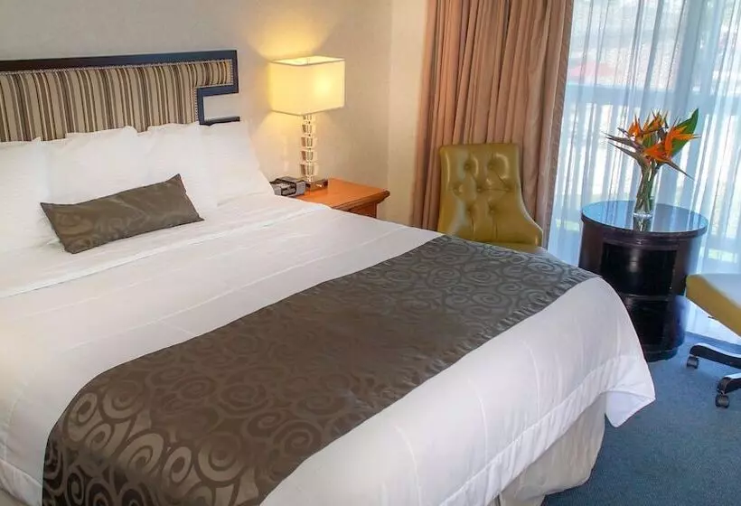 ホテル San Simeon Lodge