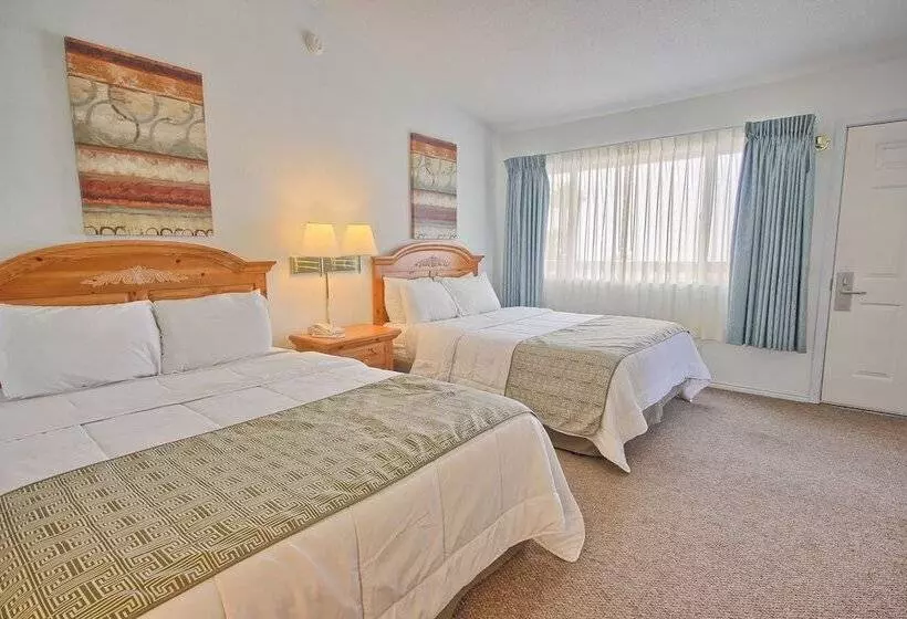 ホテル San Simeon Lodge