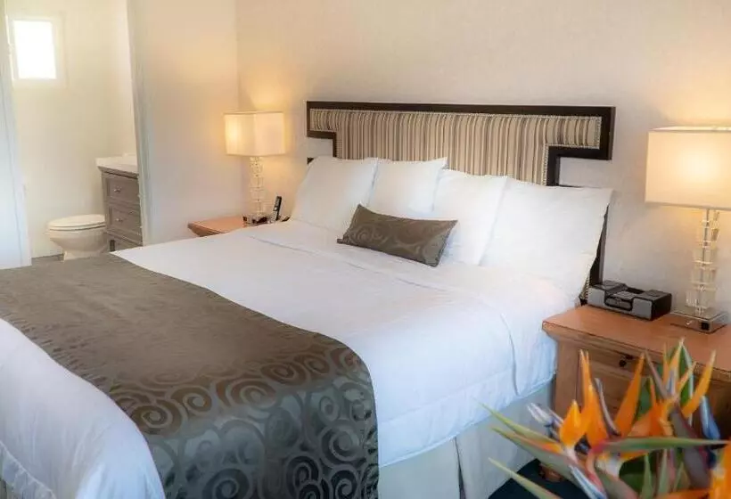 ホテル San Simeon Lodge