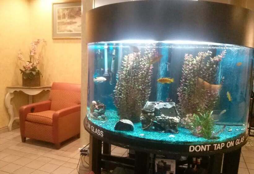 هتل Val U Stay Inn And Suites