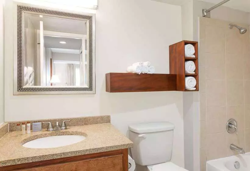 レジデンス Hawthorn Suites By Wyndham North Charleston