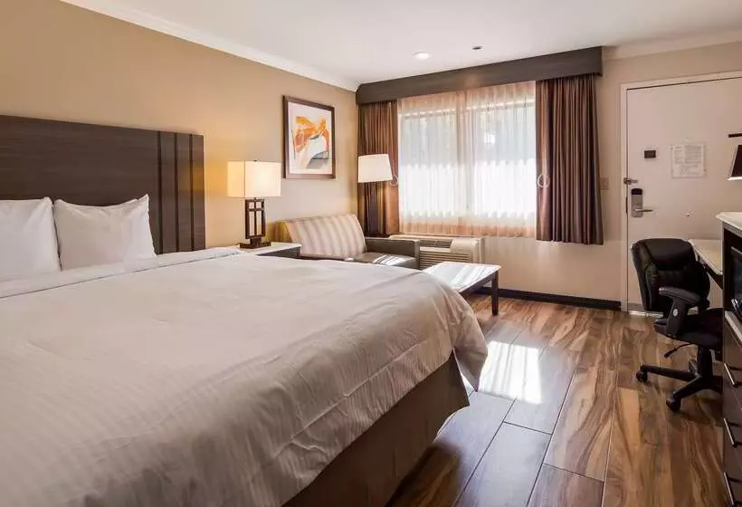 فندق Best Western Plus Orange County Airport North