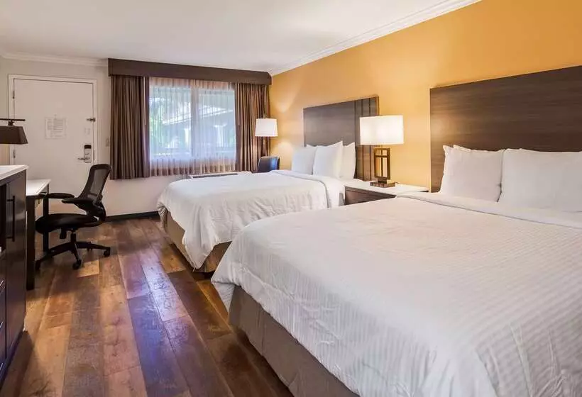 فندق Best Western Plus Orange County Airport North