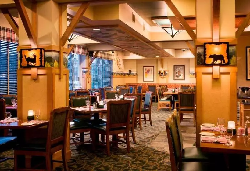 酒店 North Conway Grand