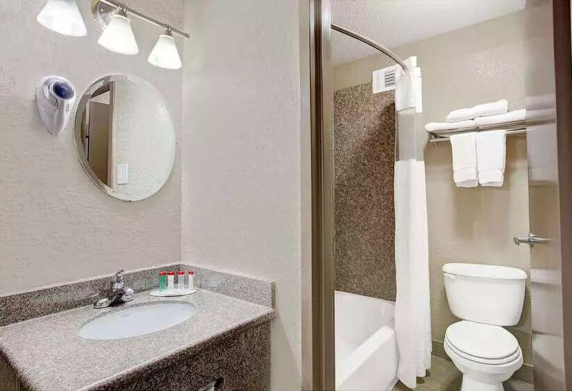 ホテル Ramada By Wyndham Houston Intercontinental Airport South