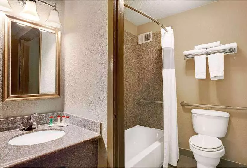 ホテル Ramada By Wyndham Houston Intercontinental Airport South