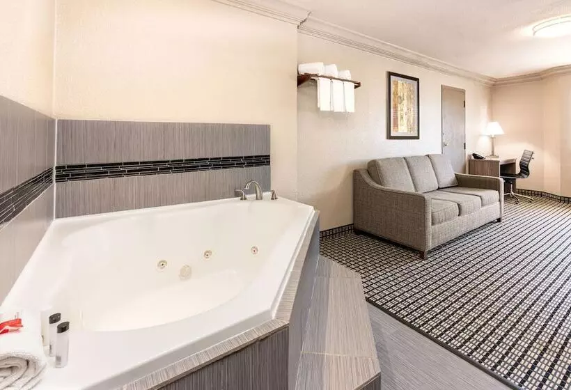 ホテル Ramada By Wyndham Houston Intercontinental Airport South