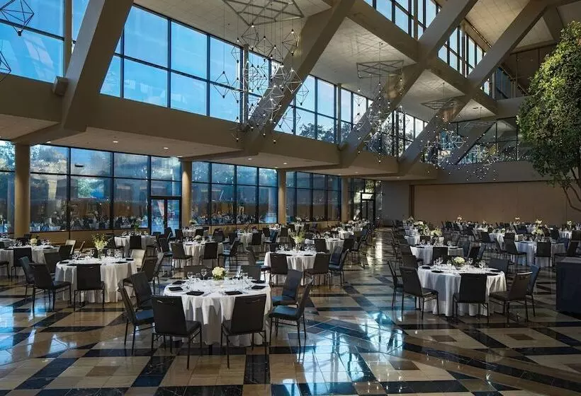 בית מלון כפרי Renaissance Dallas Addison