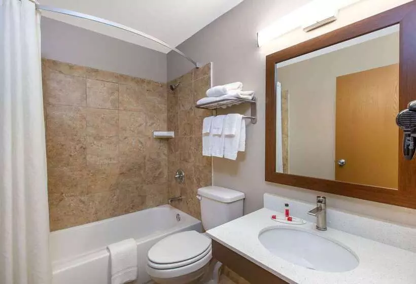 هتل Super 8 By Wyndham Chattanooga Lookout Mountain Tn