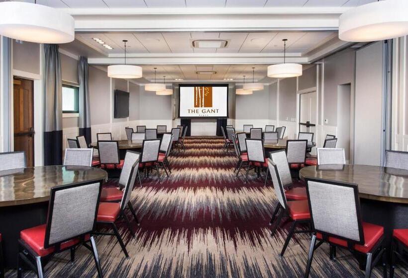 هتل The Gant