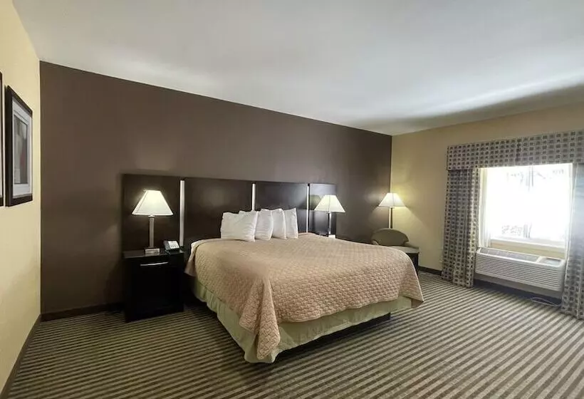 هتل Whitney Inn & Suites